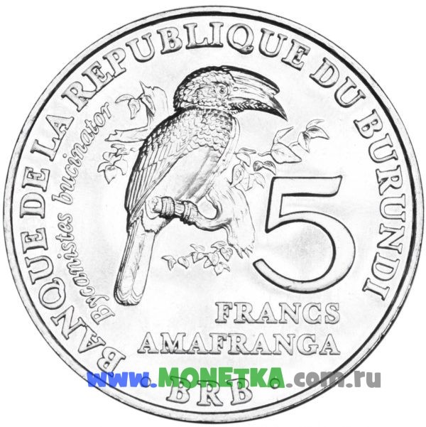Монета Бурунди 5 франков (francs) 2014 Птицы Колоа-трубач или Калао-трубач (Bycanistes bucinator) для коллекционеров-нумизматов на сайте MONETKA.com.ru