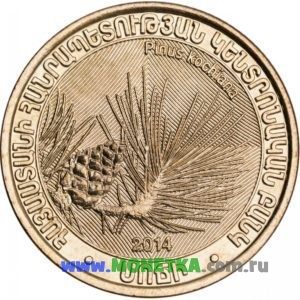 Монета Армения 200 драмов 2014 Pinus kochiana (Сосна Коха) для коллекционеров-нумизматов на сайте MONETKA.com.ru