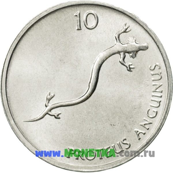 Монета Словения 10 стотинов (Stotinov) 1993 Европейский протей (Proteus anguinus) для коллекционеров-нумизматов на сайте MONETKA.com.ru