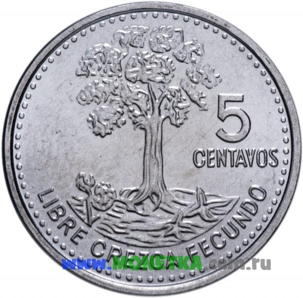 Монета Гватемала 5 сентаво (centavos) 2010 Хлопковое дерево (Ceiba pentandra) для коллекционеров-нумизматов на сайте MONETKA.com.ru