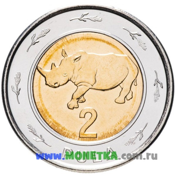 Монета Ботсвана 2 пулы (pula) 2013 год Млекопитающее Белый носорог (Ceratotherium simum) для коллекционеров-нумизматов на сайте MONETKA.com.ru