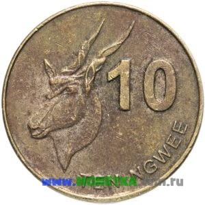 Монета Замбия 10 нгве (ngwee) 2012 год Антилопа Канна (Обыкновенная канна) (Taurotragus oryx) для коллекционеров-нумизматов на сайте MONETKA.com.ru