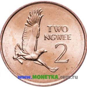 Монета Замбия 2 нгве (ngwee) 1983 год Птица Боевой орёл (Polemaetus bellicosus) для коллекционеров-нумизматов на сайте MONETKA.com.ru