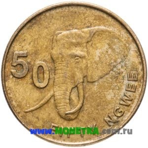 Монета Замбия 50 нгве (ngwee) 2012 год Саванный слон (Loxodonta africana) для коллекционеров-нумизматов на сайте MONETKA.com.ru