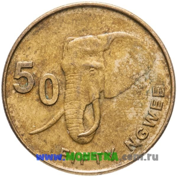 Монета Замбия 50 нгве (ngwee) 2012 год Саванный слон (Loxodonta africana) для коллекционеров-нумизматов на сайте MONETKA.com.ru