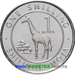 Монета Кения 1 шиллинг (shilling) 2018 год Жираф (Giraffa camelopardalis) для коллекционеров-нумизматов на сайте MONETKA.com.ru