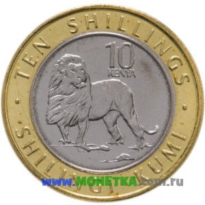 Монета Кения 10 шиллингов (shilling) 2018 год Лев (Panthera leo) для коллекционеров-нумизматов на сайте MONETKA.com.ru