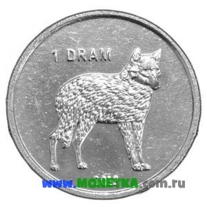 Монета Нагорный Карабах 1 драм (dram) 2013 год Волк (Canis lupus) для коллекционеров-нумизматов на сайте MONETKA.com.ru