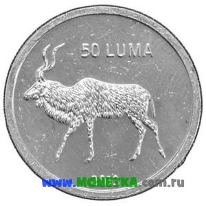 Монета Нагорный Карабах 50 лум (luma) 2013 год Джейран (Gazella subgutturosa) для коллекционеров-нумизматов на сайте MONETKA.com.ru