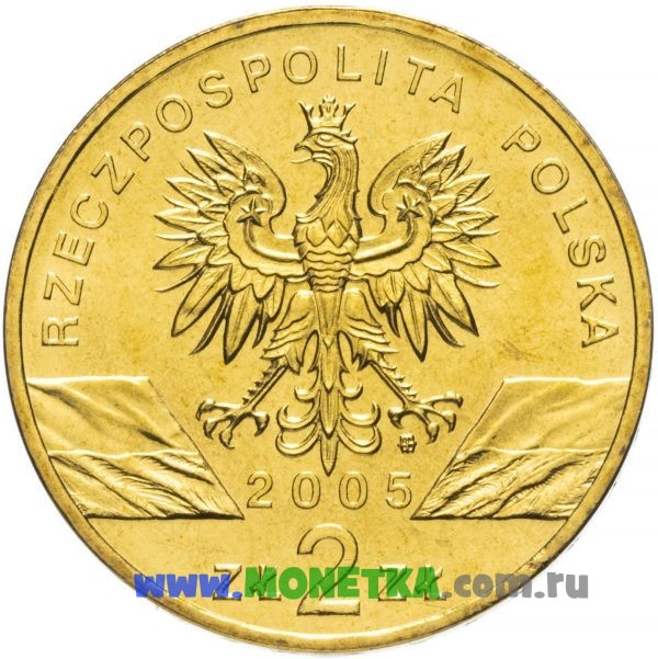 Монета Польша 2 злотых (zloty) 2005 год Филин (Обыкновенный филин) (Puchacz) (Bubo bubo) для коллекционеров-нумизматов на сайте MONETKA.com.ru