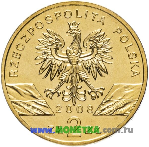 Монета Польша 2 злотых (zloty) 2008 год Сапсан (Sokol Wedrowny) (Falco peregrinus) для коллекционеров-нумизматов на сайте MONETKA.com.ru