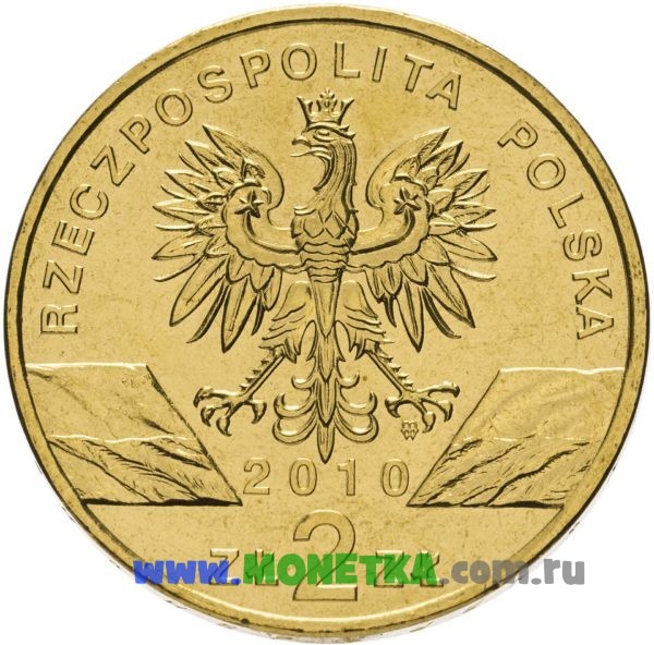 Монета Польша 2 злотых (zloty) 2010 год Малый подковонос (Podkowiec maly) (Rhinolophus hipposideros) для коллекционеров-нумизматов на сайте MONETKA.com.ru