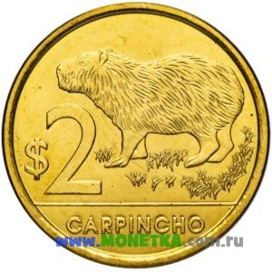 Монета Уругвай 2 песо (peso) 2011 год Капибара (Водосвинка) (Carpincho) (Hydrochoerus hydrochaeris) для коллекционеров-нумизматов на сайте MONETKA.com.ru