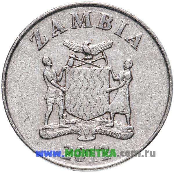 Монета Замбия 1 квача (kwacha) 2012 год Птица Африканская бородатка (Lybiidae) для коллекционеров-нумизматов на сайте MONETKA.com.ru