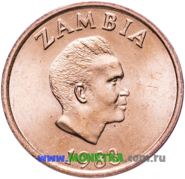Монета Замбия 2 нгве (ngwee) 1983 год Птица Боевой орёл (Polemaetus bellicosus) для коллекционеров-нумизматов на сайте MONETKA.com.ru