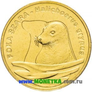 Монета Польша 2 злотых (zloty) 2007 год Длинномордый тюлень (Горбоносый тюлень, серый тюлень, тевяк) (Foka Szara) (Halichoerus grypus) для коллекционеров-нумизматов на сайте MONETKA.com.ru