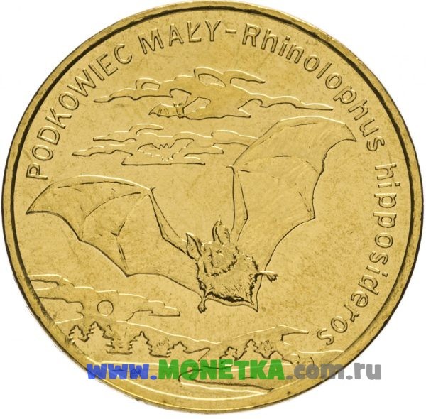 Монета Польша 2 злотых (zloty) 2010 год Малый подковонос (Podkowiec maly) (Rhinolophus hipposideros) для коллекционеров-нумизматов на сайте MONETKA.com.ru