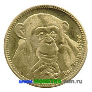 Монета Сомалиленд 5 шиллингов (shillings) 2017 год Обыкновенный шимпанзе (Pan troglodytes) для коллекционеров-нумизматов на сайте MONETKA.com.ru