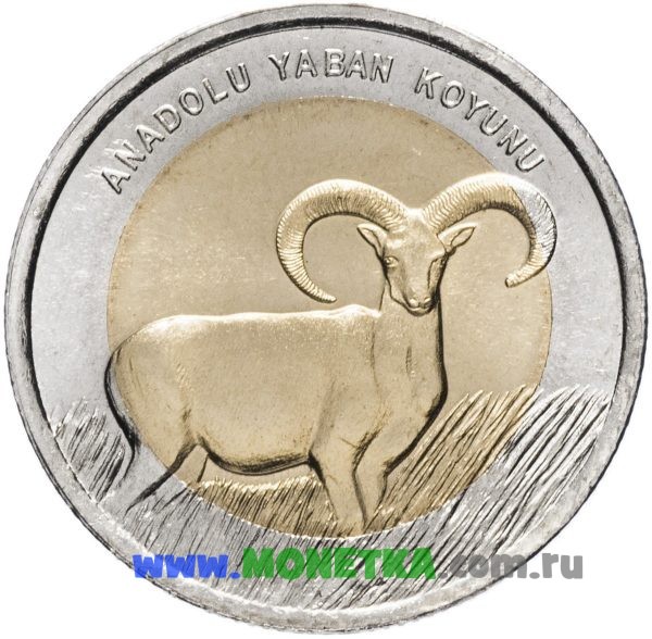 Монета Турция 1 лира (lirasi) 2015 год Муфлон (Азиатский муфлон) (Ovis gmelini, Ovis ovis, Ovis orientalis) для коллекционеров-нумизматов на сайте MONETKA.com.ru