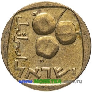 Монета Израиль 5 агорот 1961 год Гранат (Гранатник, Гранатовое дерево) (Punica) для коллекционеров-нумизматов на сайте MONETKA.com.ru