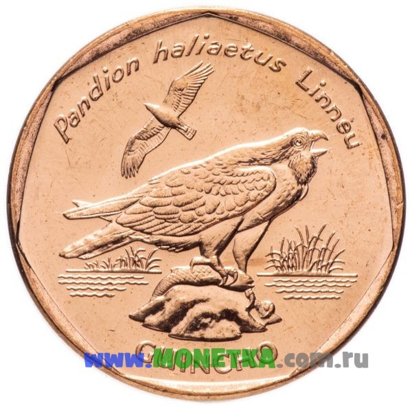 Монета Кабо-Верде 5 эскудо (escudos) 1994 год Птица Скопа (Guincho) (Pandion haliaetus) для коллекционеров-нумизматов на сайте MONETKA.com.ru
