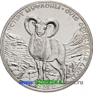 Монета Казахстан 50 тенге 2015 год Азиатский муфлон (Ovis orientalis) для коллекционеров-нумизматов на сайте MONETKA.com.ru